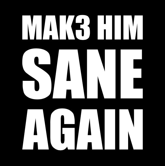 MAK3 HIM SANE AGAIN Magnet