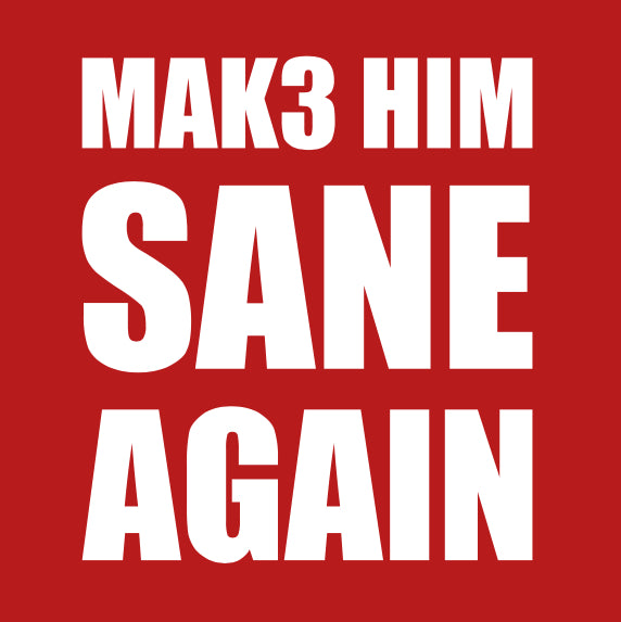 MAK3 HIM SANE AGAIN Magnet