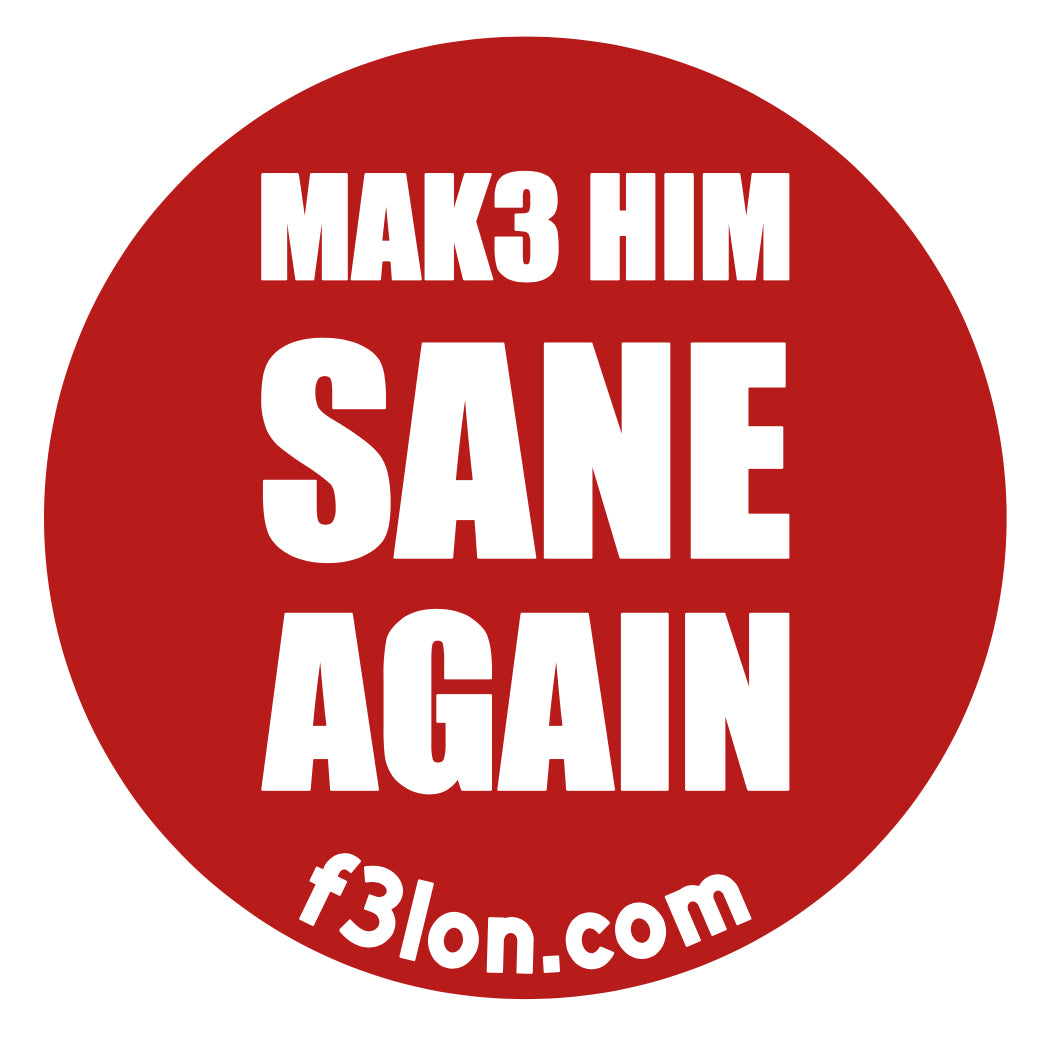 MAK3 HIM SANE AGAIN Magnet/Sticker