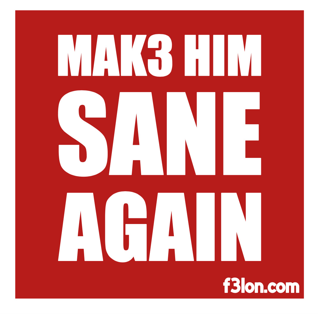 MAK3 HIM SANE AGAIN Magnet/Sticker